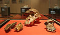 Наиболее полный со времён раскопок Брума череп австралопитека StW 505[en], обнаруженный в пачке 4