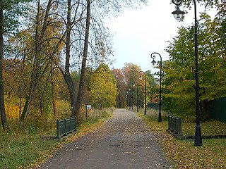 Нижняя дорога в парке Знаменка