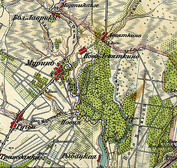 Фрагмент карты окрестностей Петрограда 1915 года, включающий Медвежий Стан (лесистая область в центре)