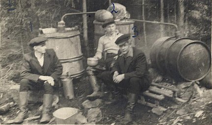 «Лесные братья» возле самогонного аппарата, 1950 год
