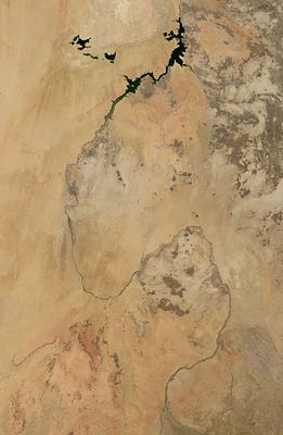 Спутниковое изображение озёр Тошка (слева вверху) и водохранилища Насер (справа вверху).