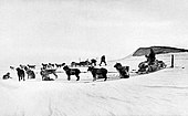 Черри-Гаррард, Аткинсон и Гирев с упряжными собаками 1 ноября 1912 года