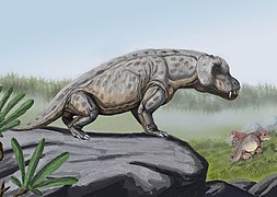 Anteosaurus и Keratocephalus (на заднем плане)