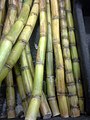 Сахарный тростник, подстегнувший колонизацию