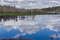 Свободненнский район (подтайга)