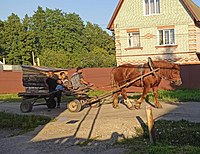 Цыгане из города Кинешма, Ивановская область