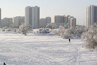 Замёрзший пруд