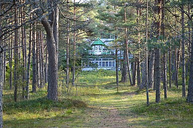 Дача в сосновом лесу