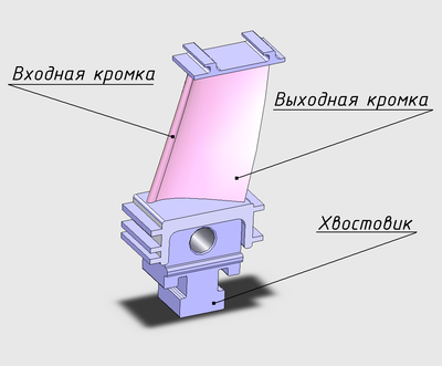 Основные элементы лопатки