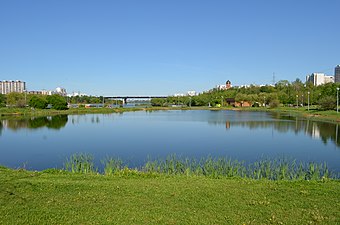 Озеро в парке (в братеевской части)