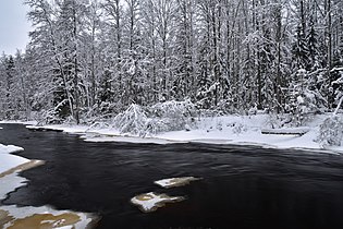 Панорама зимней Рощинки