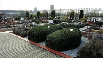 Травяной сад Национального музея природы и науки Токио