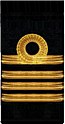 нарукавный знак флота 1917