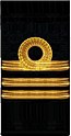 нарукавный знак флота 1917