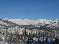 Катунский хребет, панорама с видом на горельник, Катон-Карагайский ГНПП.