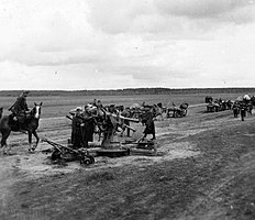 Soldiers of Hungary in Russia