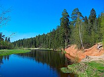 Река Оредеж у бывшего дома отдыха Лесное (Белогорское водохранилище)