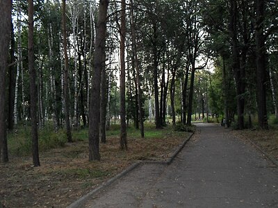 Лесопарковая зона парка ДК Химиков