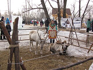 Площадка с северными оленями в этнодеревне во время Универсиады-2019