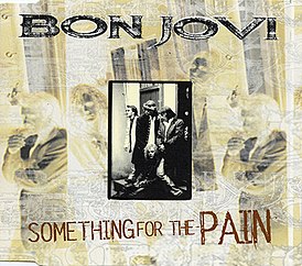 Обложка сингла Bon Jovi «Something for the Pain» (1995)