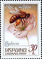 Медоносная пчела. Украина, 1999