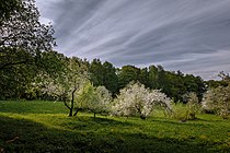 Весна в усадьбе