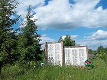 Мемориал павшим в Великую Отечественную войну в селе Борзыни.