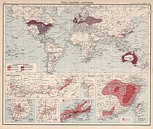 Мировая карта экспортёров и импортёров чая, 1907 г.
