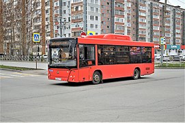 Lotos-206