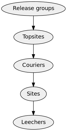 Иерархия сверху вниз гласит: «Релизные группы», «Топ-сайты», «Курьеры», «Сайты» и «Личеры».