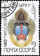 Мандрил на почтовой марке СССР