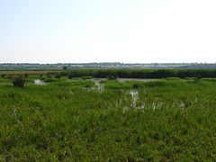 Водно-болотные угодья в заповеднике