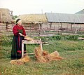 Крестьянка в поясном переднике, Пермская губерния, 1910 г. Фотография Сергея Прокудина-Горского