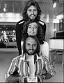 Bee Gees