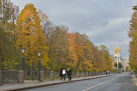 Садовая улица