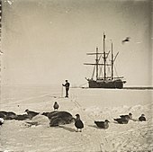 У ледяного припая в Китовой бухте. Январь 1911 года