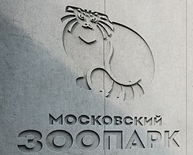 Изображение манула, новый вход в Московский зоопарк