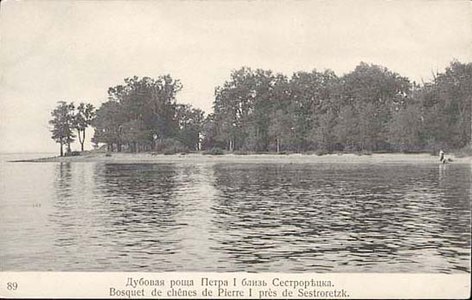 Дубовая роща Петра I в парке. Фото 1900-х годов