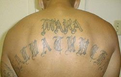 Татуировка на спине бандита