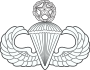 Master Parachutist Badge