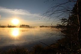 Озеро Малая Гарава заказник "Клязьминско-Лухский"