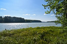 Озеро Виша в Муромском заказнике