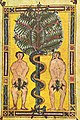 Манускрипт 950-955 годов, Библиотека Сан-Лоренцо (Франция)