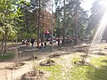 Детская площадка в Новокосинском парке