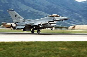 Истребитель-бомбардировщик F-16 совершает посадку на итальянской авиабазе Авиано, вернувшись после бомбардировки Республики Сербской