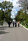 The main alley of the Second Christian Cementery in Odessa, view from the Main Gate to the Church of St Dmitriy Rostovskiy