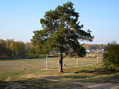 Футбольное поле парка до реконструкции