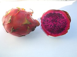 Коста-риканская питайя (Hylocereus costaricensis)