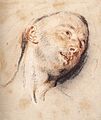 Этюд мужской головы (к «Меццетену»). 1718—1720. Метрополитен-музей