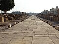 Древняя дорога к луксорскому храму